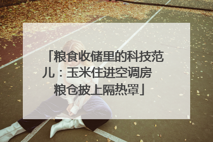 粮食收储里的科技范儿：玉米住进空调房 粮仓披上隔热罩