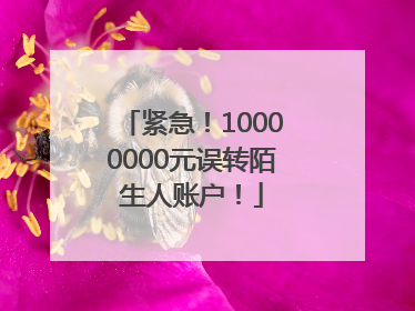紧急！10000000元误转陌生人账户！