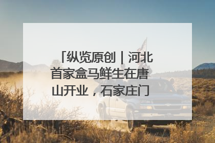 纵览原创｜河北首家盒马鲜生在唐山开业，石家庄门店预计8月开业