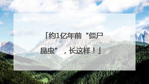 约1亿年前“僵尸昆虫”，长这样！