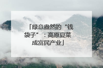 绿意盎然的“钱袋子”：高原夏菜成富民产业