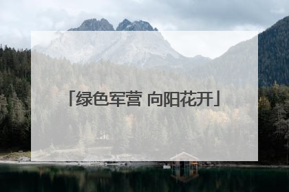 绿色军营 向阳花开