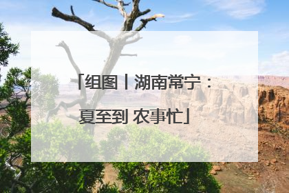 组图丨湖南常宁：夏至到 农事忙