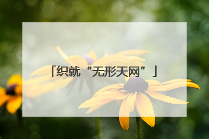织就“无形天网”