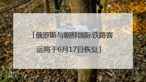 俄罗斯与朝鲜国际铁路客运将于6月17日恢复