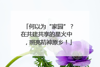 何以为“家园”？在共建共享的星火中，照亮精神原乡！