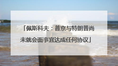 佩斯科夫：普京与特朗普尚未就会面事宜达成任何协议