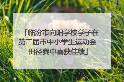 临汾市向阳学校学子在第二届市中小学生运动会田径赛中喜获佳绩