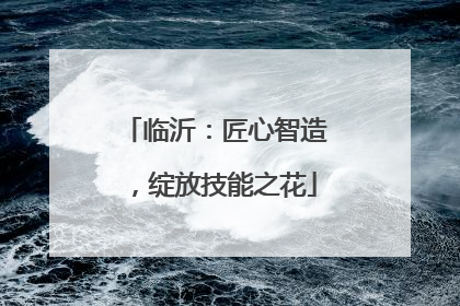 临沂：匠心智造，绽放技能之花