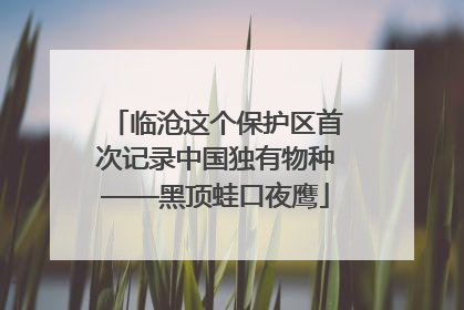 临沧这个保护区首次记录中国独有物种——黑顶蛙口夜鹰