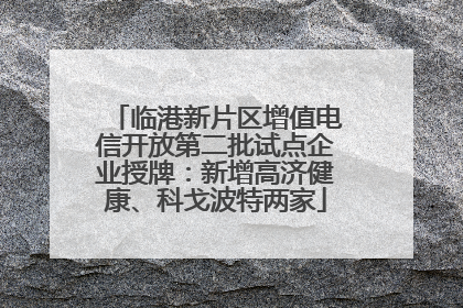 临港新片区增值电信开放第二批试点企业授牌：新增高济健康、科戈波特两家