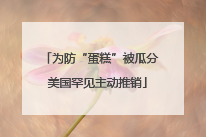 为防“蛋糕”被瓜分 美国罕见主动推销