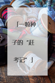 一粒种子的“赶考记”