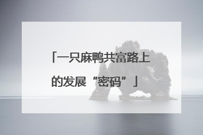一只麻鸭共富路上的发展“密码”