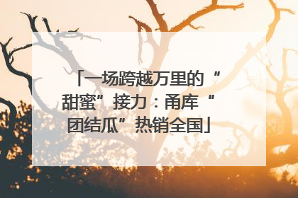 一场跨越万里的“甜蜜”接力：甬库“团结瓜”热销全国