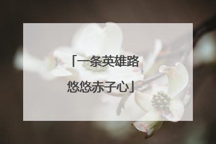 一条英雄路 悠悠赤子心