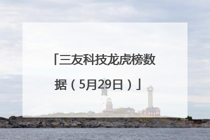 三友科技龙虎榜数据（5月29日）