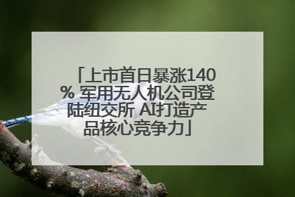 上市首日暴涨140% 军用无人机公司登陆纽交所 AI打造产品核心竞争力