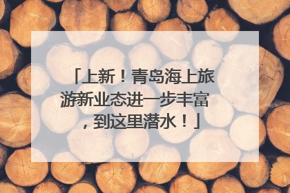 上新！青岛海上旅游新业态进一步丰富，到这里潜水！