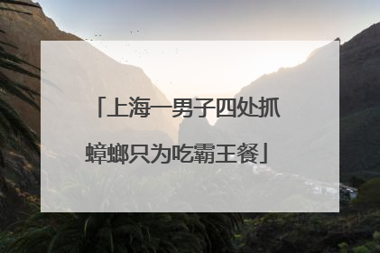 上海一男子四处抓蟑螂只为吃霸王餐