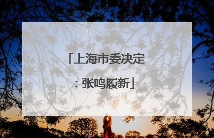 上海市委决定：张鸣履新