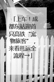 上车！成都东站迎首只高铁“宠物旅客”，来看托运全流程→