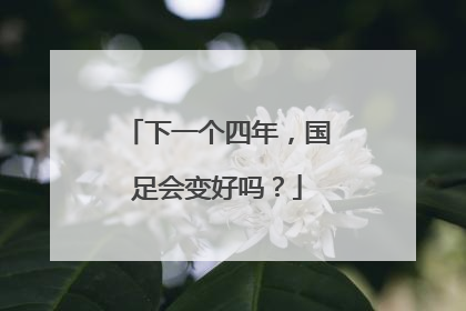 下一个四年，国足会变好吗？