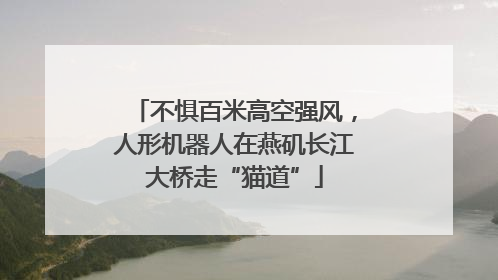 不惧百米高空强风，人形机器人在燕矶长江大桥走“猫道”