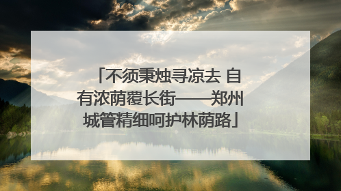 不须秉烛寻凉去 自有浓荫覆长街——郑州城管精细呵护林荫路