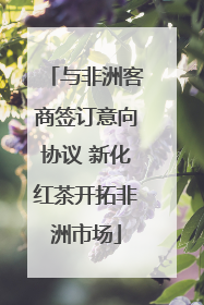 与非洲客商签订意向协议 新化红茶开拓非洲市场