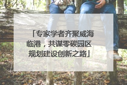 专家学者齐聚威海临港，共谋零碳园区规划建设创新之路