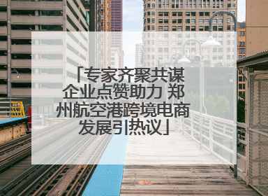 专家齐聚共谋 企业点赞助力 郑州航空港跨境电商发展引热议