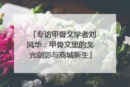 专访甲骨文学者刘风华：甲骨文里的戈光剑影与商城新生