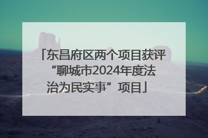 东昌府区两个项目获评“聊城市2024年度法治为民实事”项目