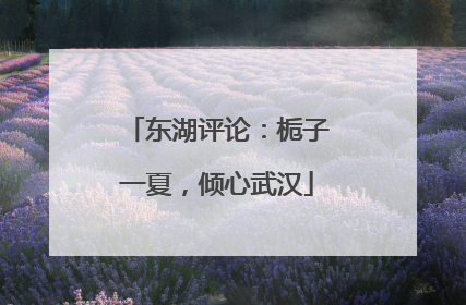 东湖评论：栀子一夏，倾心武汉