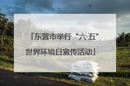 东营市举行“六·五”世界环境日宣传活动
