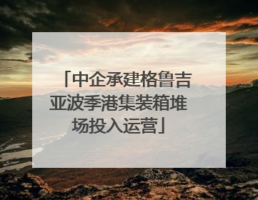 中企承建格鲁吉亚波季港集装箱堆场投入运营