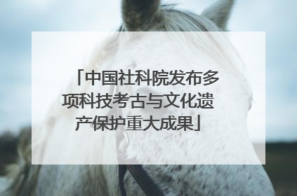 中国社科院发布多项科技考古与文化遗产保护重大成果