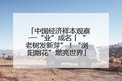 中国经济样本观察·一“业”成名丨“老树发新芽”！“浏阳烟花”燃亮世界