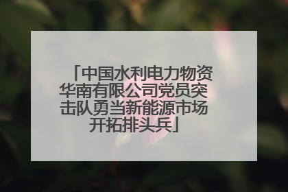 中国水利电力物资华南有限公司党员突击队勇当新能源市场开拓排头兵