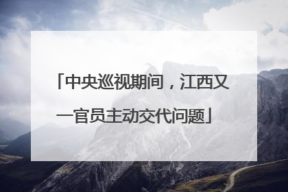 中央巡视期间，江西又一官员主动交代问题