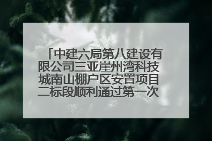 中建六局第八建设有限公司三亚崖州湾科技城南山棚户区安置项目二标段顺利通过第一次主体结构验收
