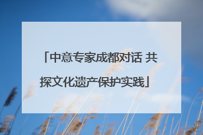 中意专家成都对话 共探文化遗产保护实践
