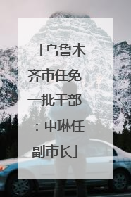乌鲁木齐市任免一批干部：申琳任副市长