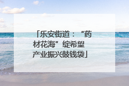 乐安街道：“药材花海”绽希望 产业振兴鼓钱袋