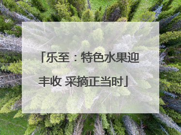 乐至:特色水果迎丰收 采摘正当时