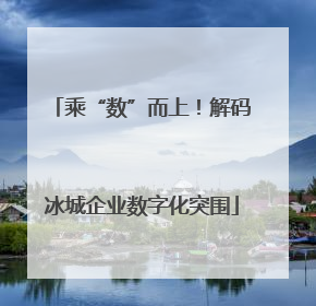乘“数”而上！解码冰城企业数字化突围