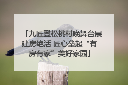 九匠登松桃村晚舞台展建房绝活 匠心垒起“有房有家”美好家园