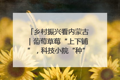 乡村振兴看内蒙古｜葡萄草莓“上下铺”，科技小院“种”出三倍效益