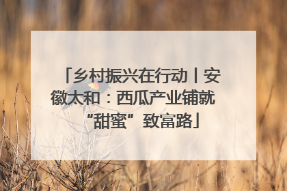 乡村振兴在行动丨安徽太和：西瓜产业铺就“甜蜜”致富路